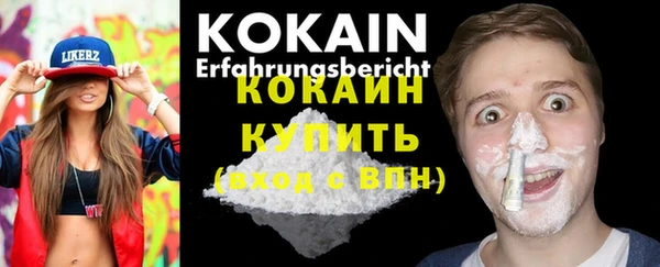 ПСИЛОЦИБИНОВЫЕ ГРИБЫ Верхний Тагил